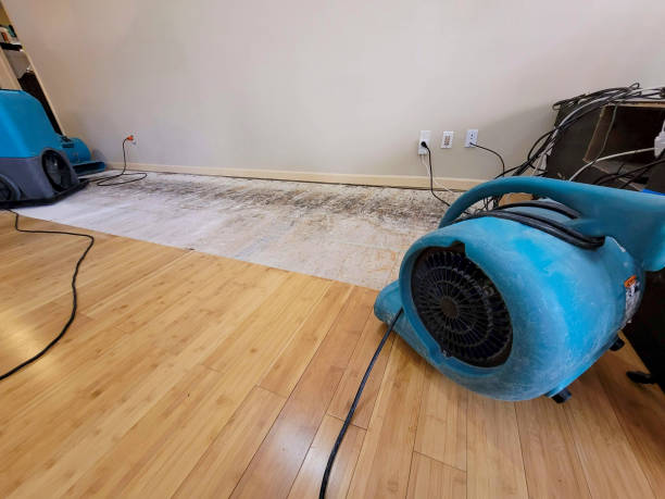 Professional Structural Drying technician working in Montreat, NC